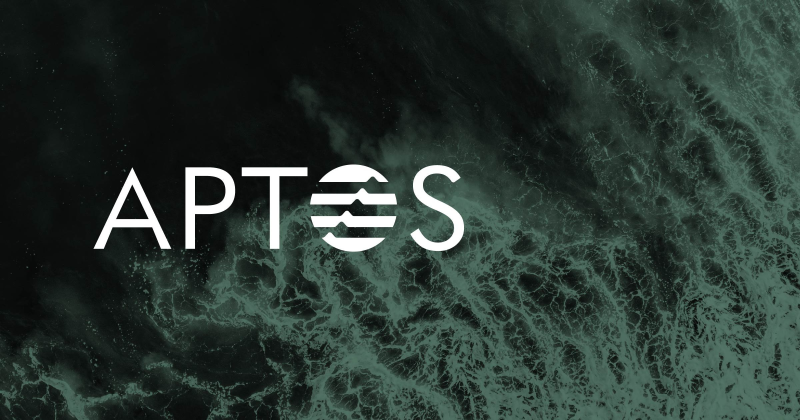 Aptos (APT) Qual Empresa Emite Essa Moeda?