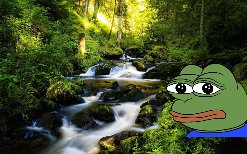 PEPE A Memecoin De Uma Fundação Duvidosa!