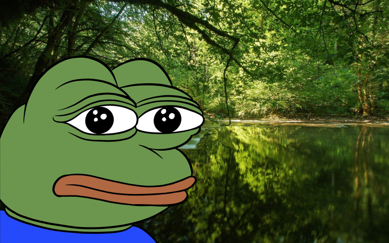 O Que é PEPE Memecoin?